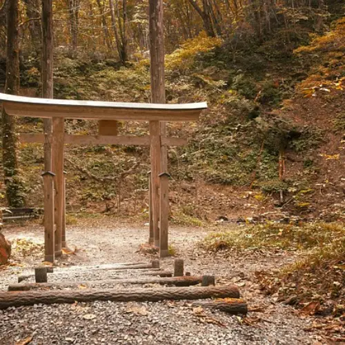 울릉도 울릉크루즈