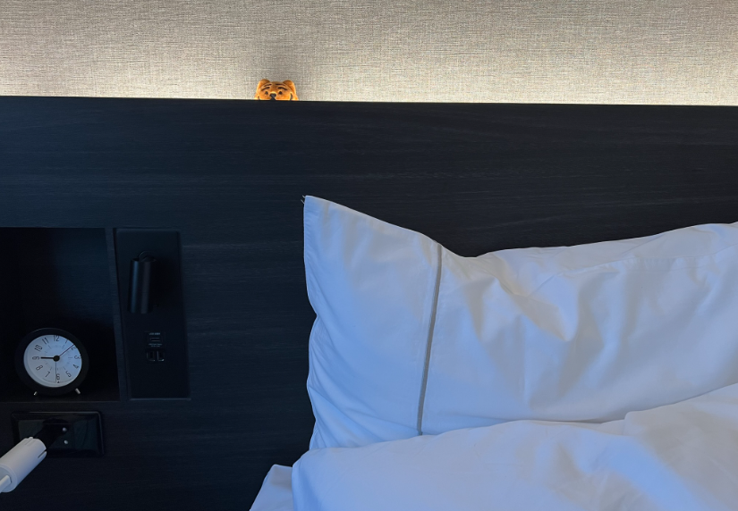 리치몬드 호텔 프리미어 교토 시조