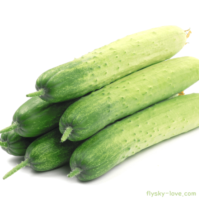 부종 개선 및 숙취 해소에 좋은 오이