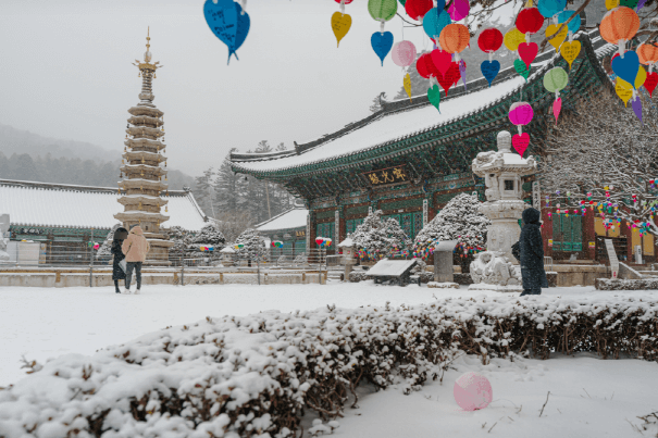 강원도 겨울 트레킹 추천 BEST 5 : 설경 걷기 좋은 길