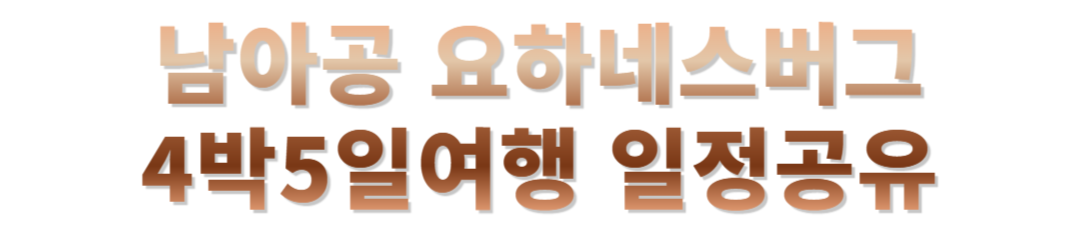 남아공 요하네스버그 여행후기