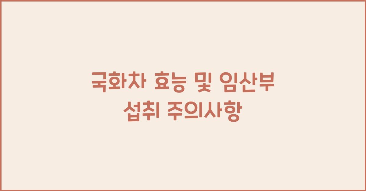 국화차 효능