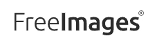 프리이미지(Free Images)