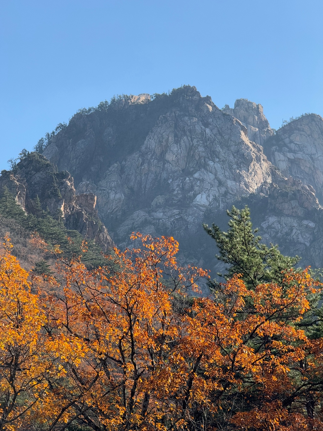 설악산 신흥사