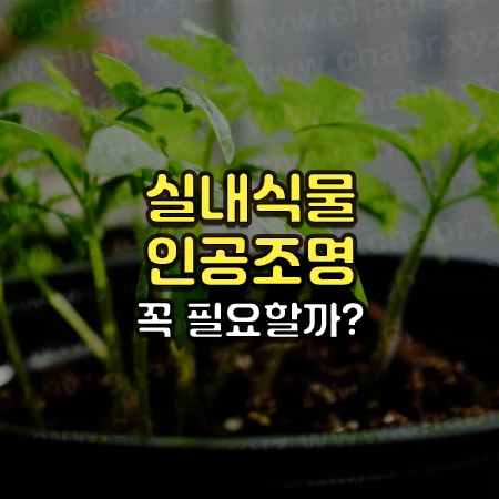 초록색 식물 사진 위에 실내식물 인공조명 꼭 필요할까 자막이 써있음