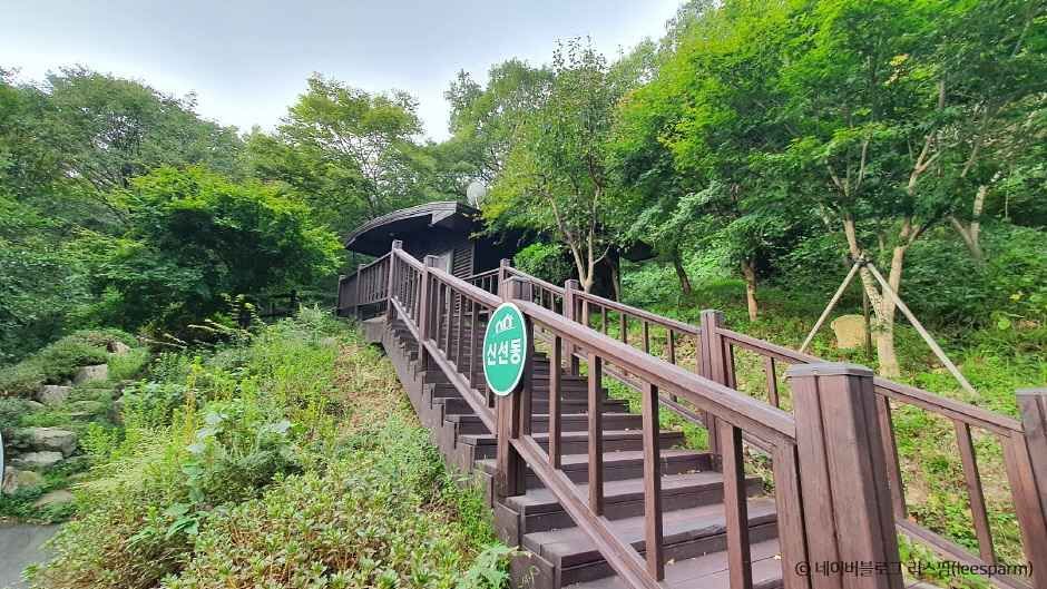 장성 가볼만한곳 베스트10