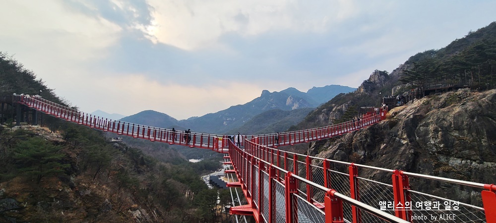 거창 Y 자형 출렁다리 (입장권 현장구매가능) 경남 가볼만한곳