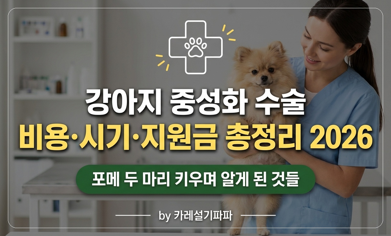 강아지 중성화 수술 썸네일