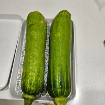 애호박 효능_12