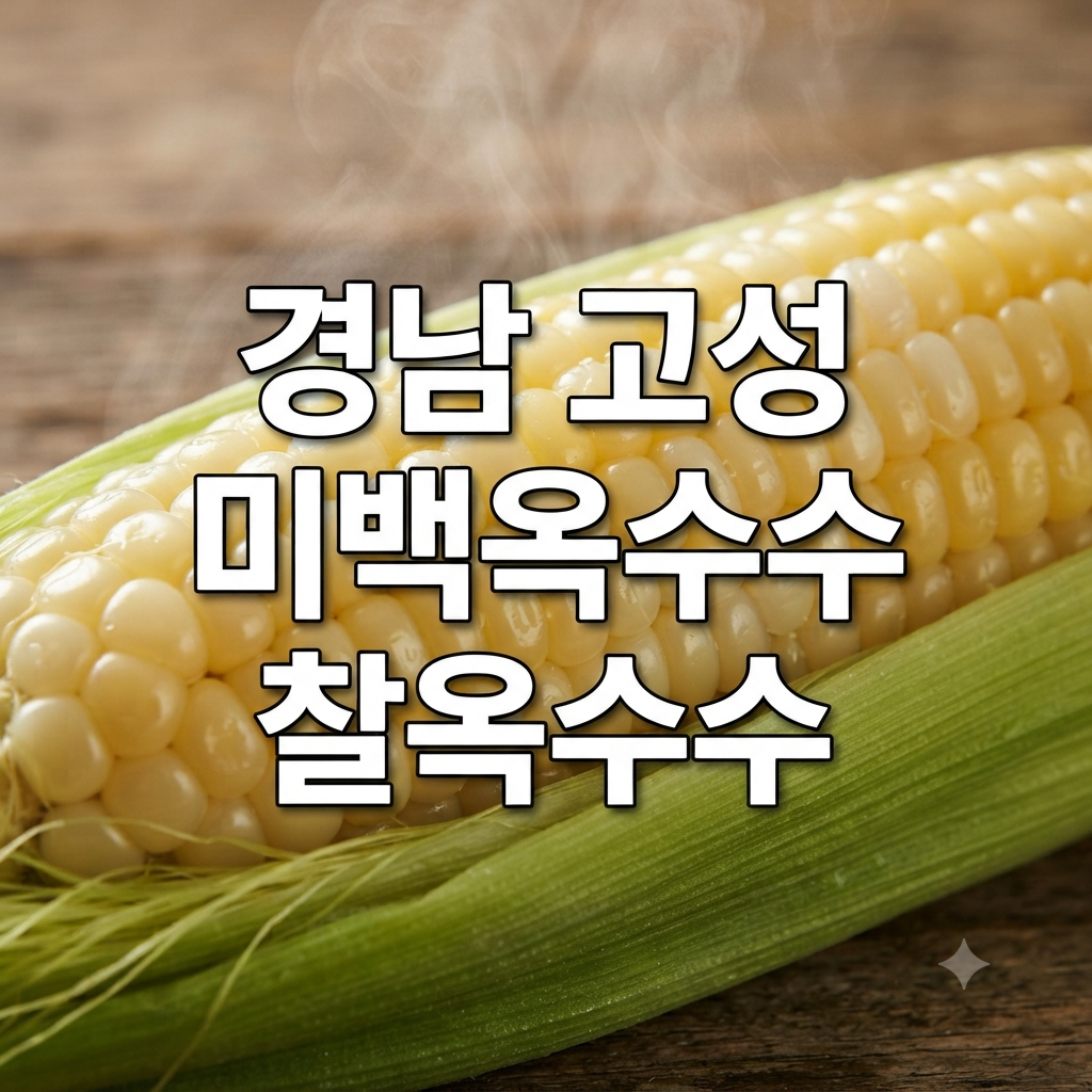 경남 고성 찰옥수수