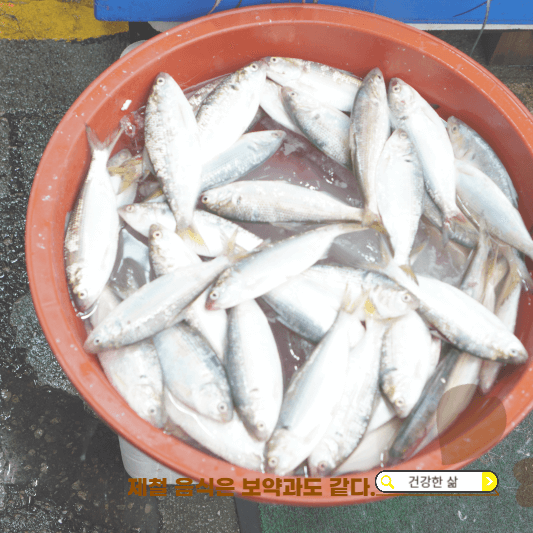 11월 제철회