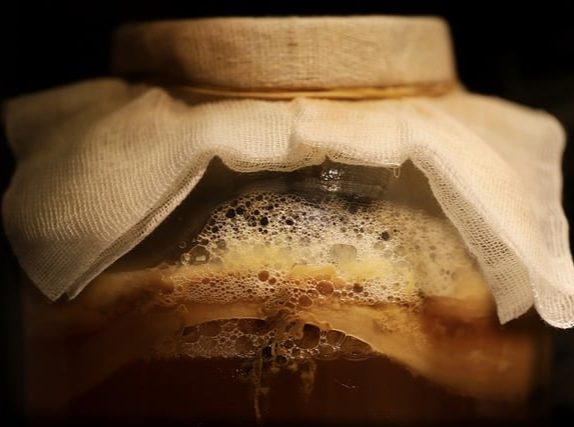 콤부차 효능 효과