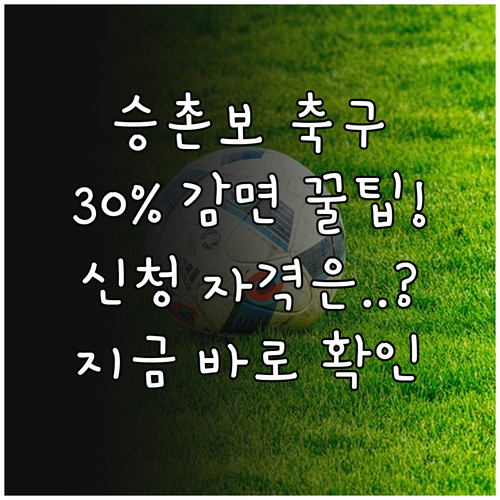 2025 승촌보 축구장 30% 감면 ..