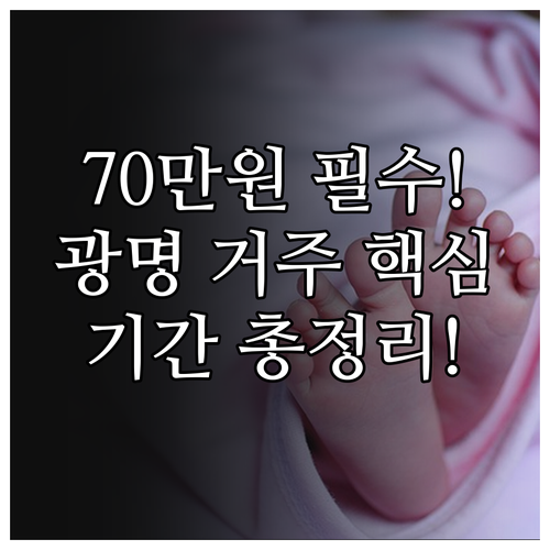 2025 광명시민 70만원 출산축하금..