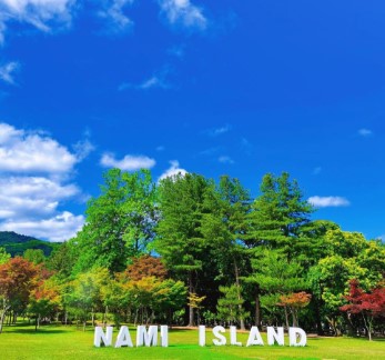 경기도 봄꽃구경