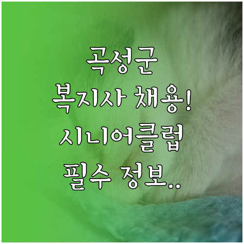 곡성군 사회복지사 취업 정보 및 시니..