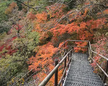 설악산 단풍, 절정 시기_9