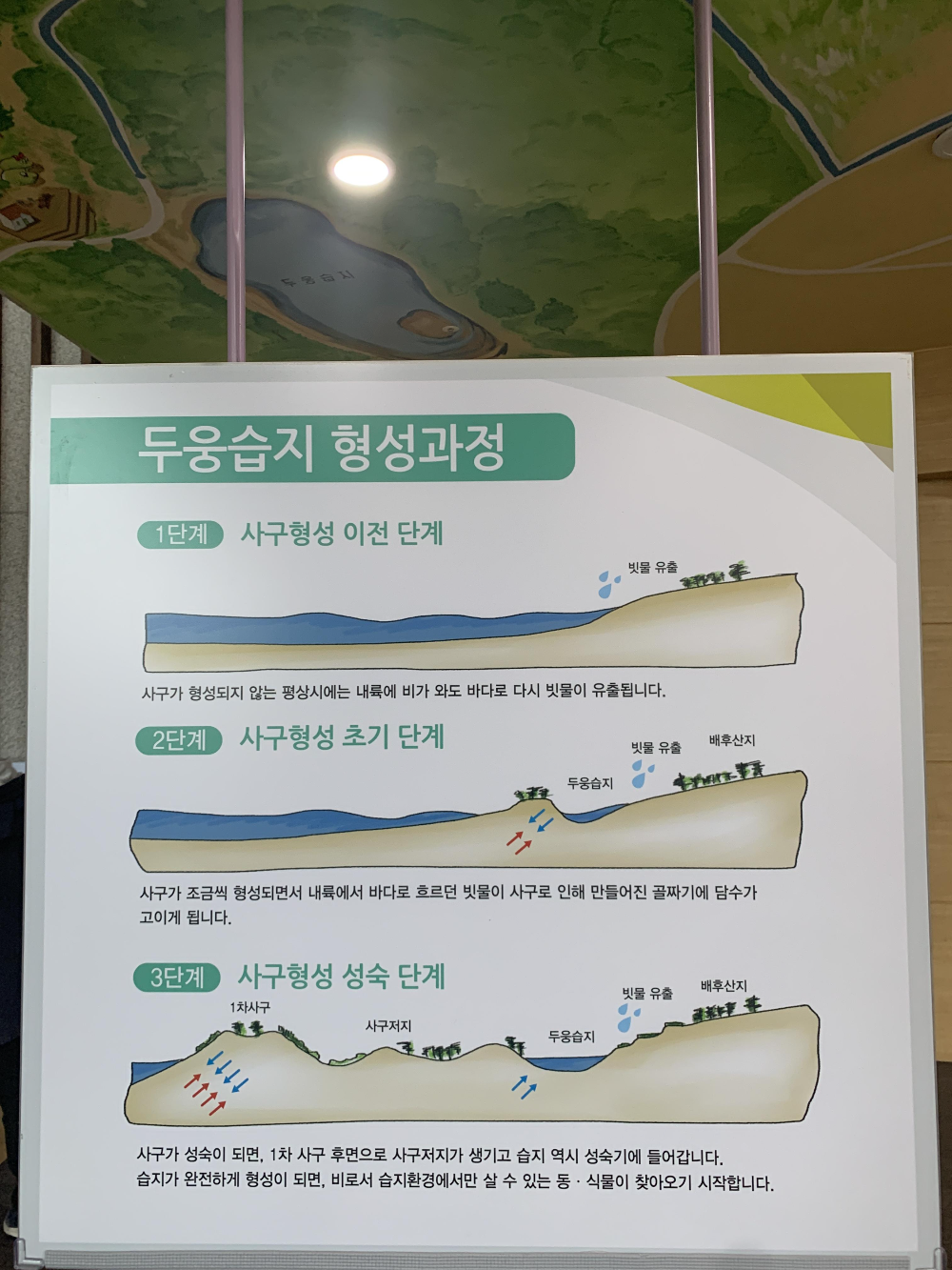 신두리 해안 사구중 두웅습지 형성과정