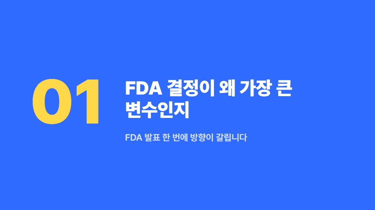 FDA 결정이 왜 가장 큰 변수인지 — FDA 발표 한 번에 방향이 갈립니다