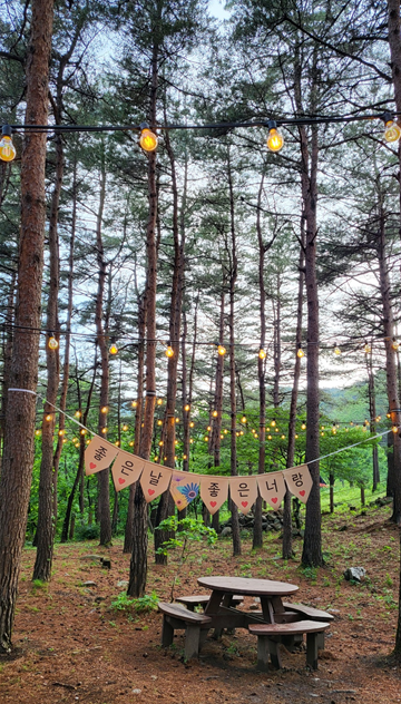 강릉 솔향수목원내 차 마시면서 힐링