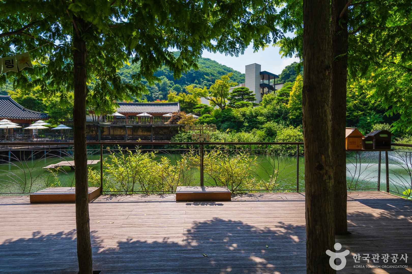 광주 곤지암 화담숲