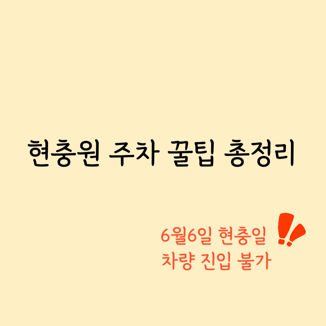 현충일 현충원 참배 주차