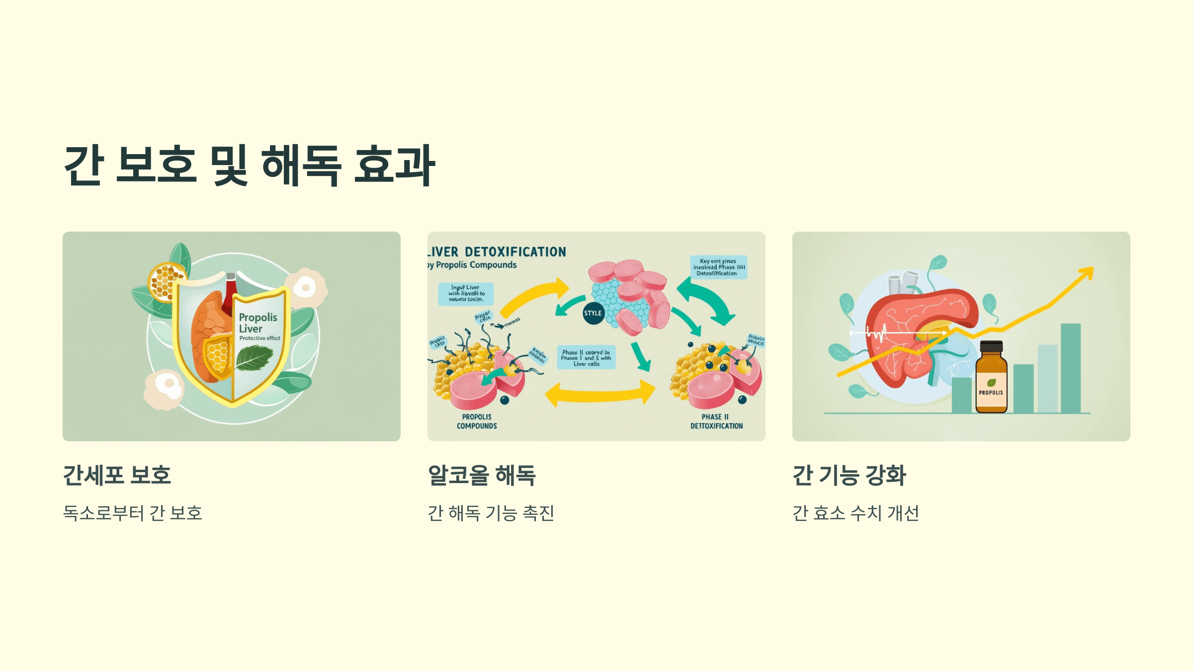 프로폴리스와 관련된 사진입니다.