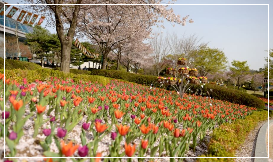 울산 가볼만한곳 베스트10 울산대공원