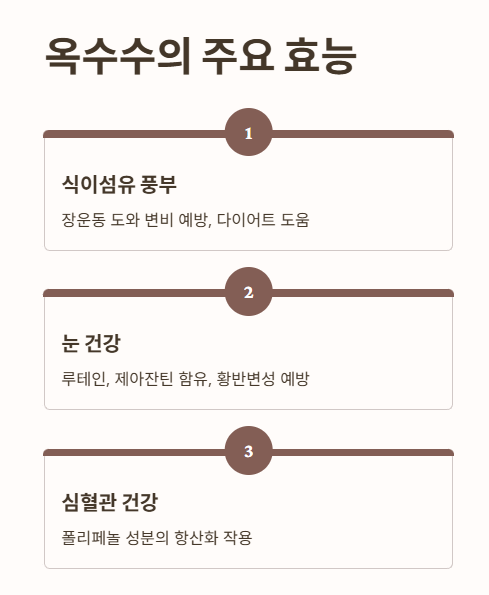 옥수수의 주요 효능 1