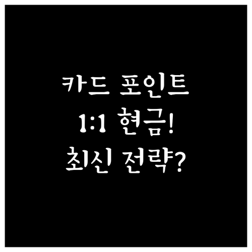 여신금융협회 카드 포인트 1:1 현금..