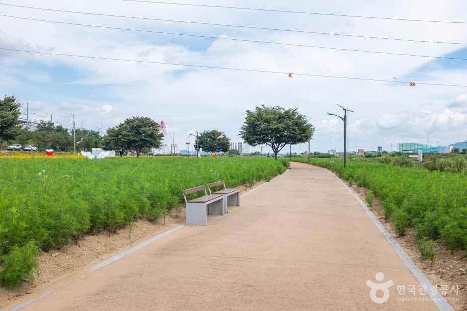경산 가볼만한곳 베스트 10