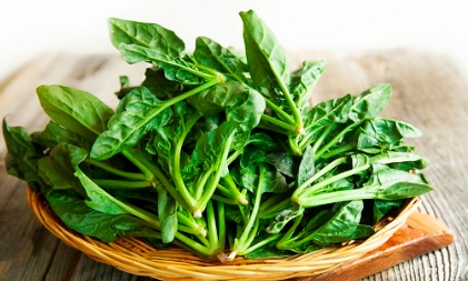 μ€μ₯λ
ν νμ μΈ‘μ μλ²½ κ°μ΄λ