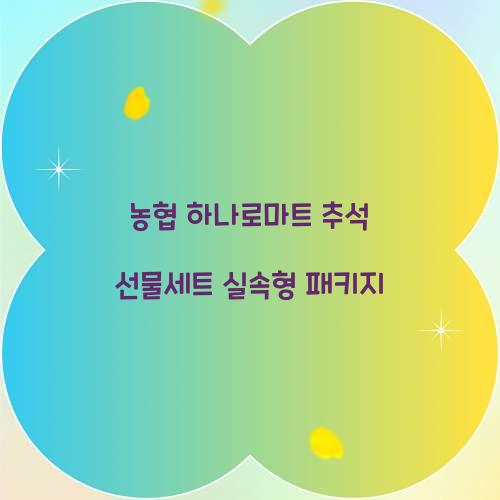 농협 하나로마트 추석 선물세트 실속형 패키지  