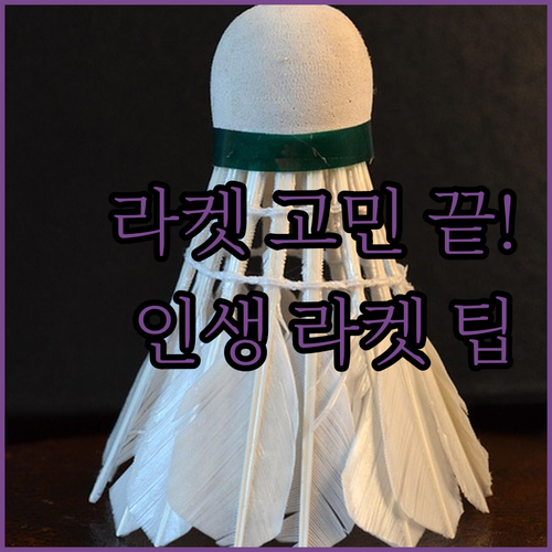 입문자 상급자용 배드민턴 라켓 고르는..