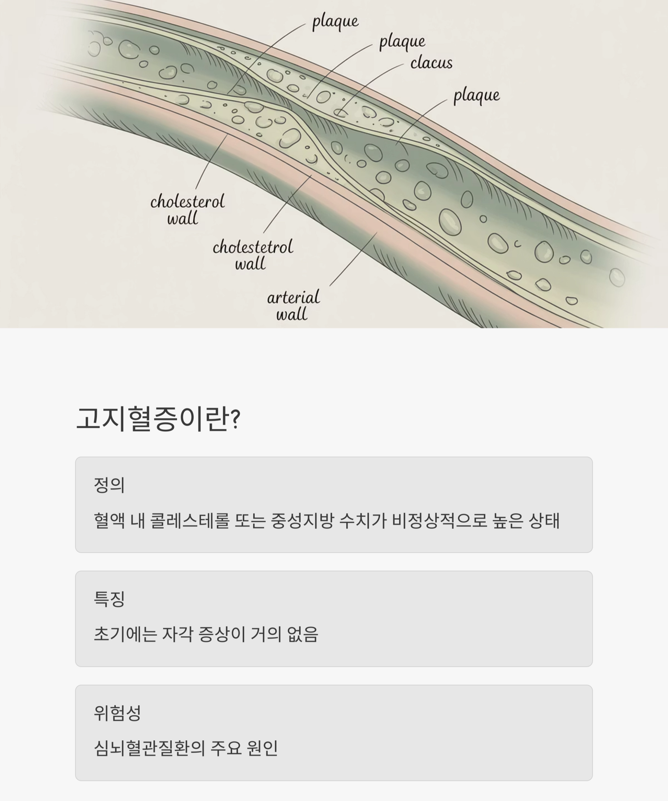 고지혈증 잡는 습관, 중년 혈관 건강을 지키는 가장 확실한 방법