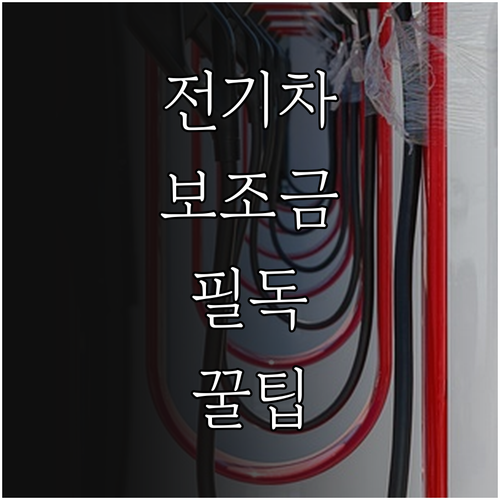 전기차 국고 보조금 지급 절차 및 의..