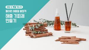 🚫 해충박사가 알려주는 러브버그 퇴치법 BEST 6