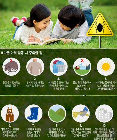 아이와 가을 캠핑·등산 갈 때 꼭 알아야 할 진드기 감염병 3가지