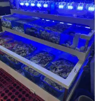 생방송투데이 겨울별미 대왕 조개 굴찜 통굴통굴 시흥본점