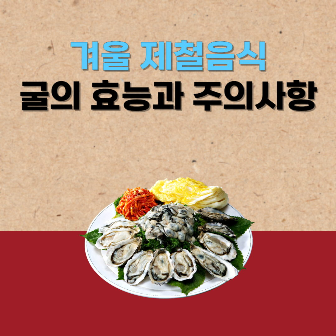 겨울 제철 음식 굴의 효능과 주의사항