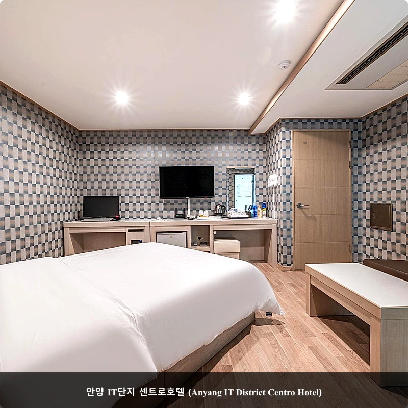 안양 IT단지 센트로호텔 (Anyang IT District Centro Hotel)_2