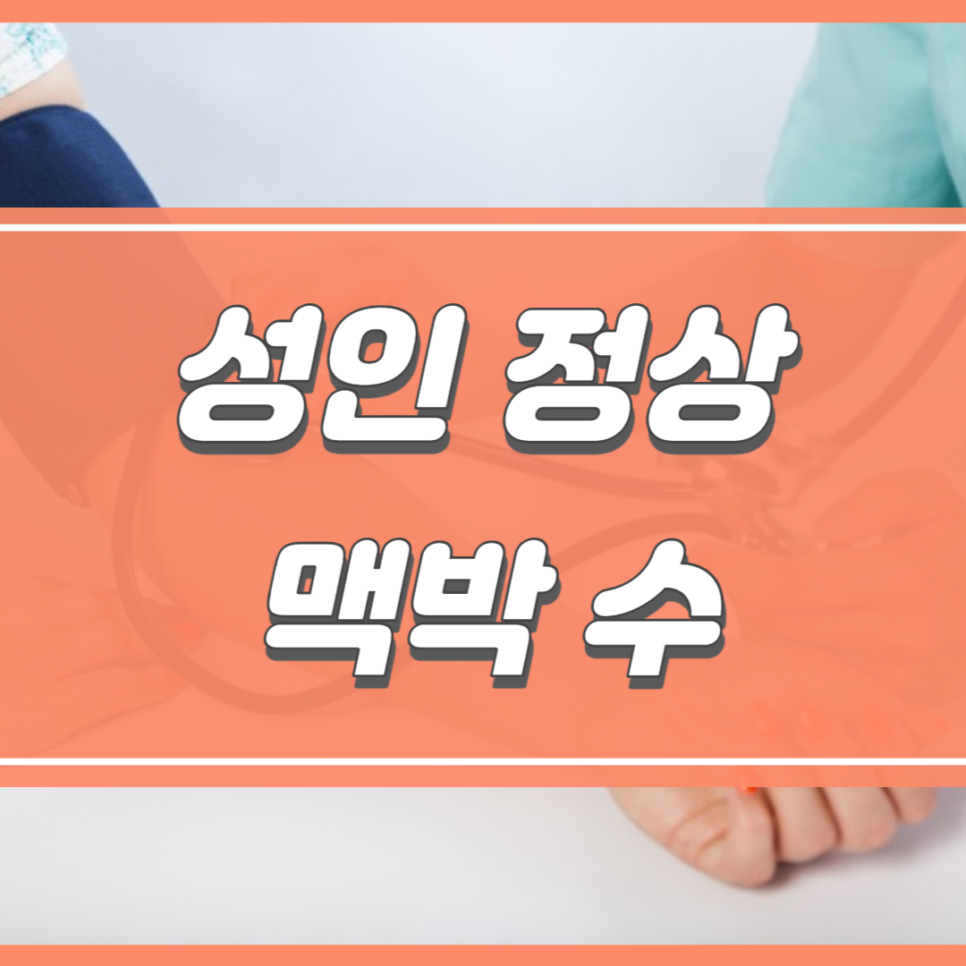 성인 정상 맥박 수 메인