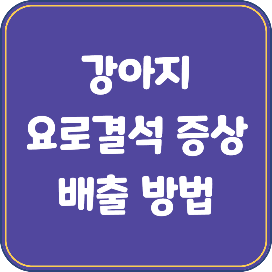 강아지 요로결석
