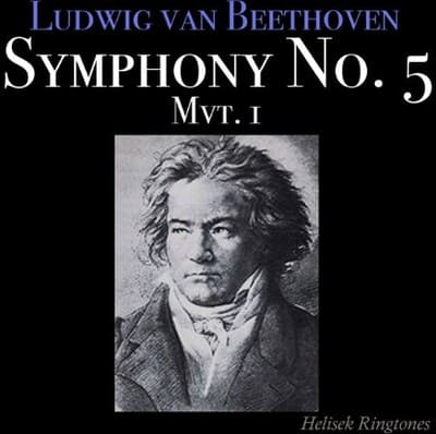 베토벤의 교향곡 운명 5