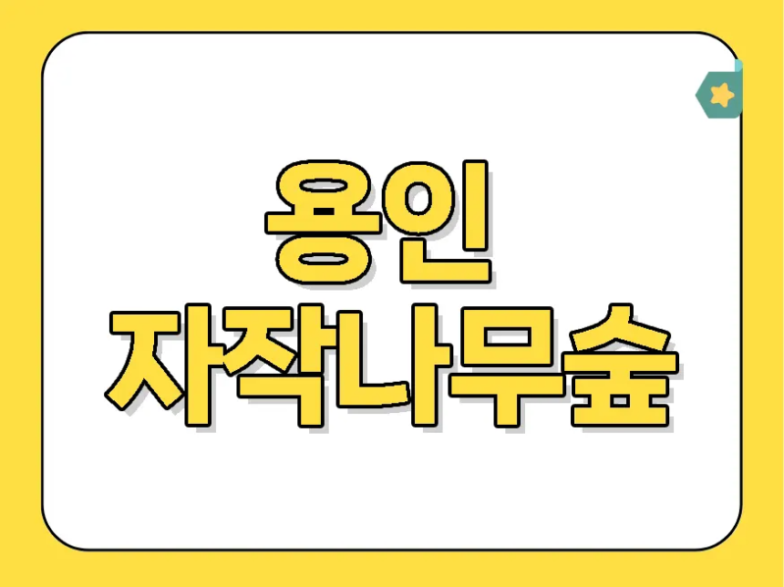 용인 자작나무숲