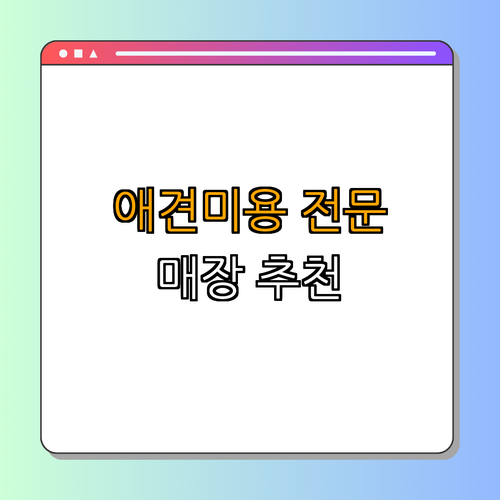 경기도 용인시 애견미용 잘하는 곳 BEST4 ｜ 예약하기 ｜ 성견미용 혜택 ｜  전문 미용사 상담 ｜ 실시간 리뷰 확인 ｜ 후기도 확인하기 ｜ 총정리