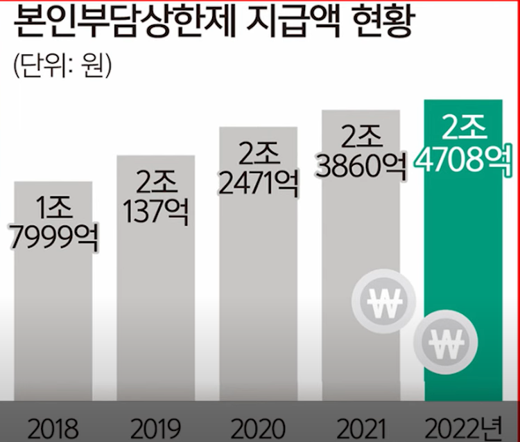 본인부담금