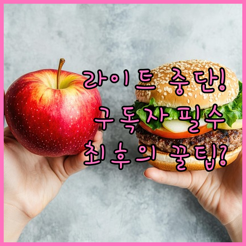 라이트 프리미엄 서비스 중단 기존 구..