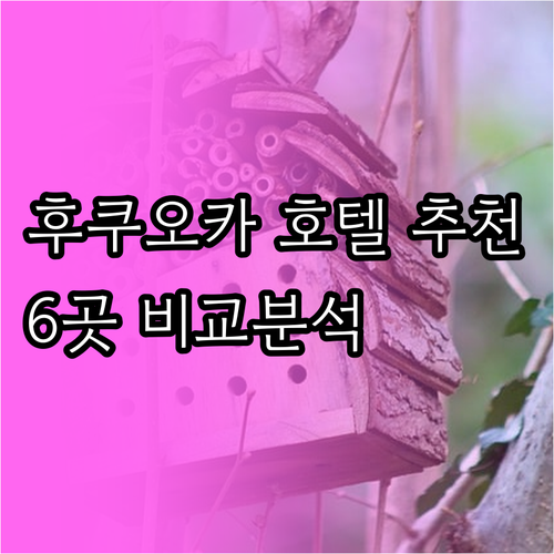 후쿠오카 호텔 추천 6곳 비교분석 편