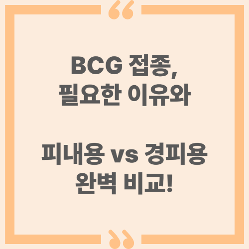 BCG 접종, 필요한 이유와 피내용 vs 경피용 완벽 비교!